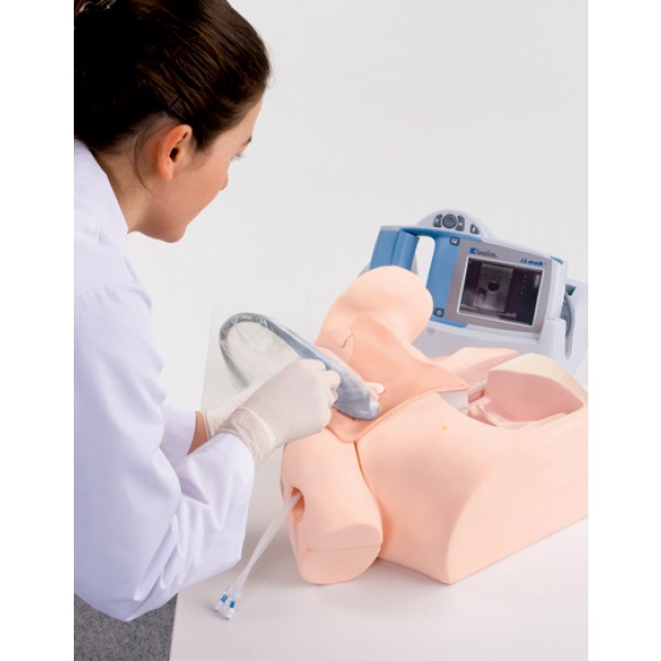 Cardiac PICU スタンダード | 日本小児循環器集中治療研究会 |本