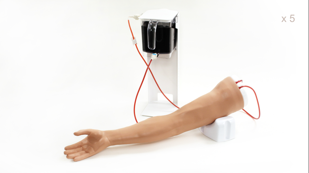 Arm Values Standard Venipuncture Arm Value Pack of 5 | Limbs & Things UK