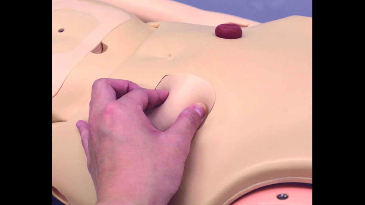 Cherry - Full Body Patient Care Simulator | Limbs & Things US Cherry - Full Body Patient Care Simulator | Limbs & Things US
