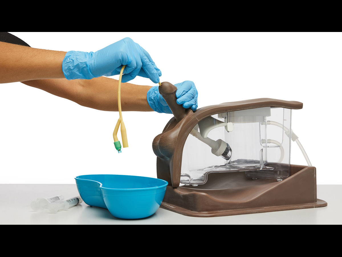 Standard Catheterization Set Standard Catheterization Trainer Set (Dark Skin Tone) | Limbs & Things UK