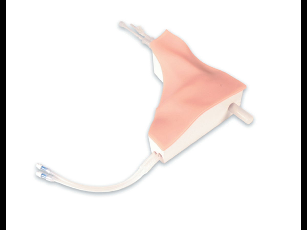 CardiacPICUスタンダード 裁断済み】CardiacPICUスタンダード Cardiac PICU スタンダード