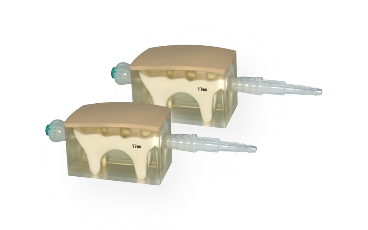 KKM43D - Pediatric Lumbar Puncture Simulator | Limbs & Things US KKM43D - Pediatric Lumbar Puncture Simulator | Limbs & Things US