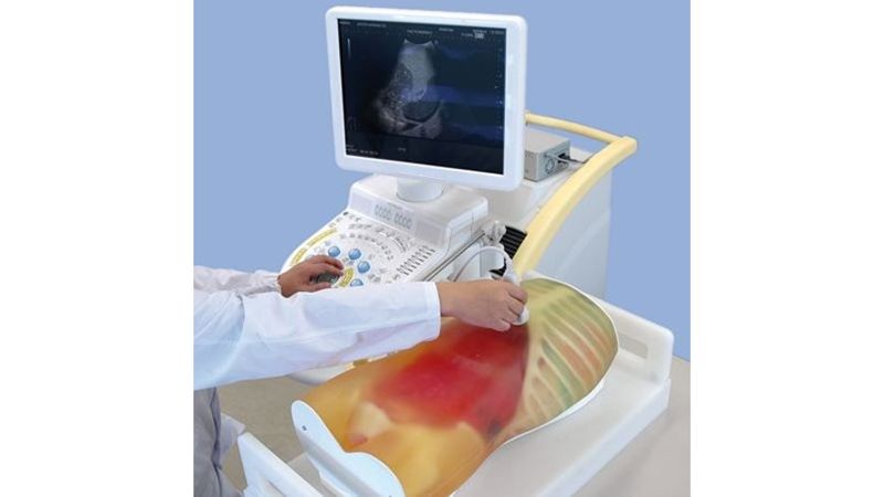 Fast Procedure FAST Ultrasound Assessment Simulator | Limbs & Things US