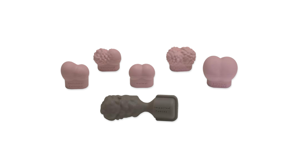 Digital Ractal Test Icon Male Rectal Examination Trainer - Advanced (Light Skin Tone) | Limbs ...