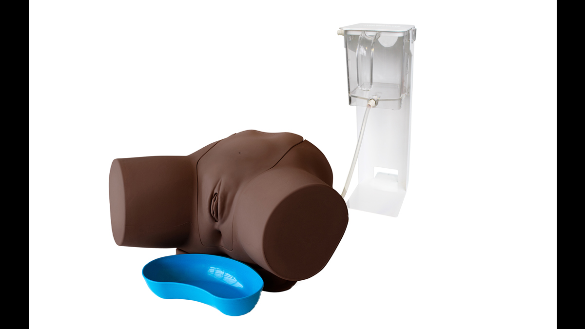 Female Catheterization Trainer (Dark Skin Tone) | Limbs & Things UK