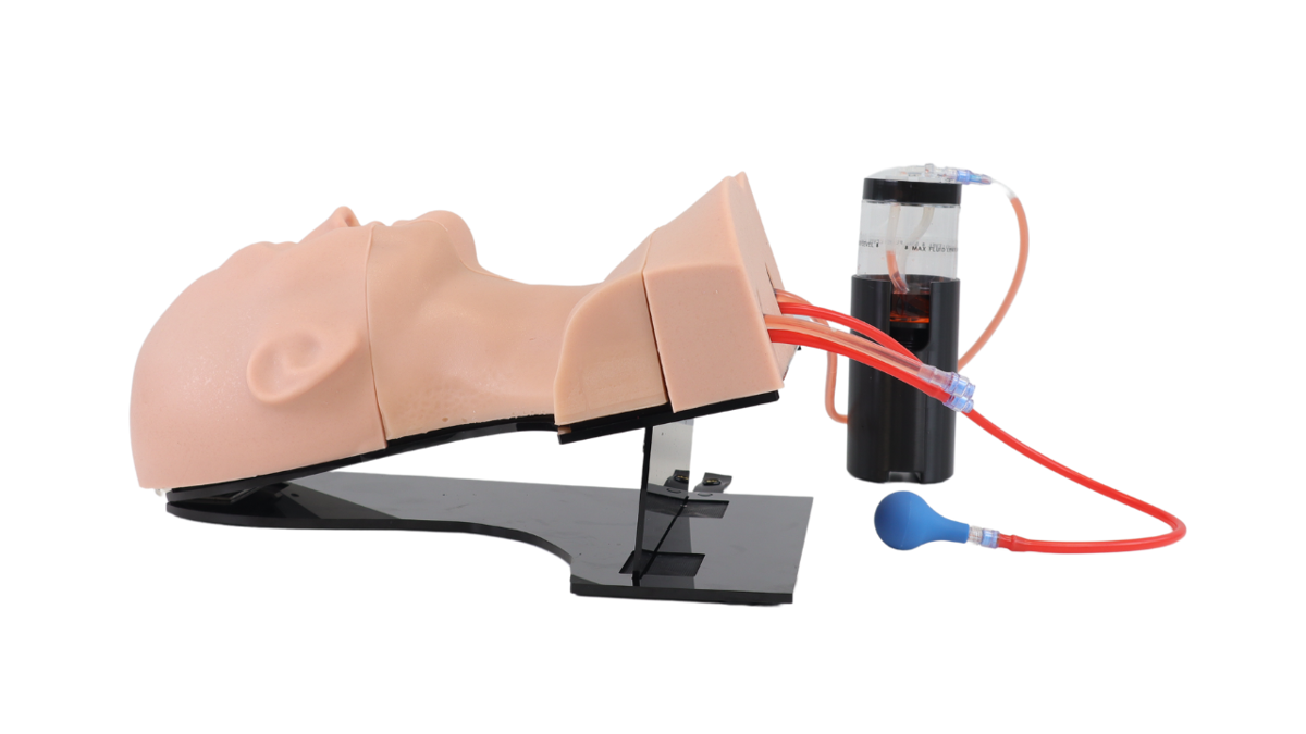 Task Trainer Cpr Photo TruCVC | Central Line Task Trainer | TruCorp | Limbs & Things Global