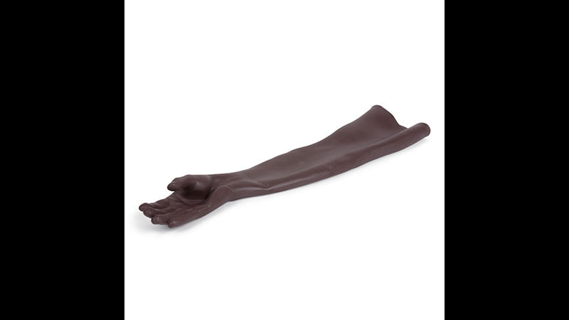 Arm Values Advanced Venipuncture Arm Value Pack (Light & Dark Skin Tone) | Limbs ...
