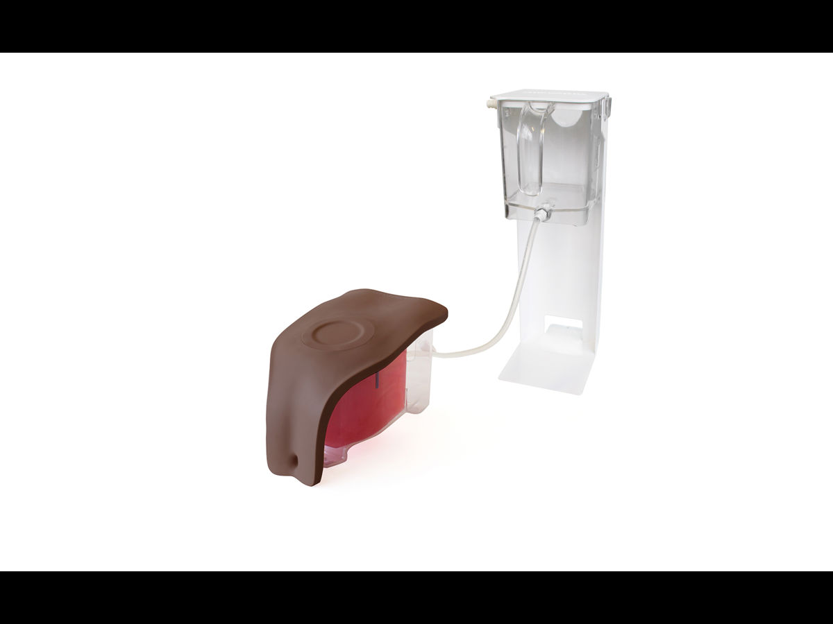 Suprapubic Inner Device Suprapubic Insertion (Ultrasound Guided) Unit (Dark Skin Tone) | Limbs ...