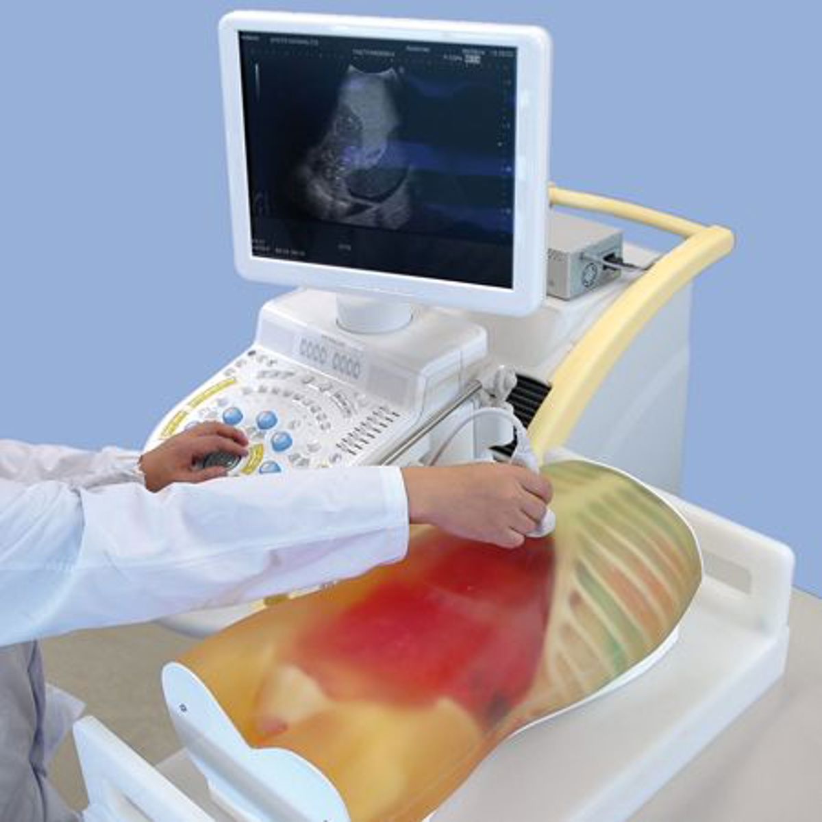 Simulation models for Ultrasound training | Limbs & Things UK