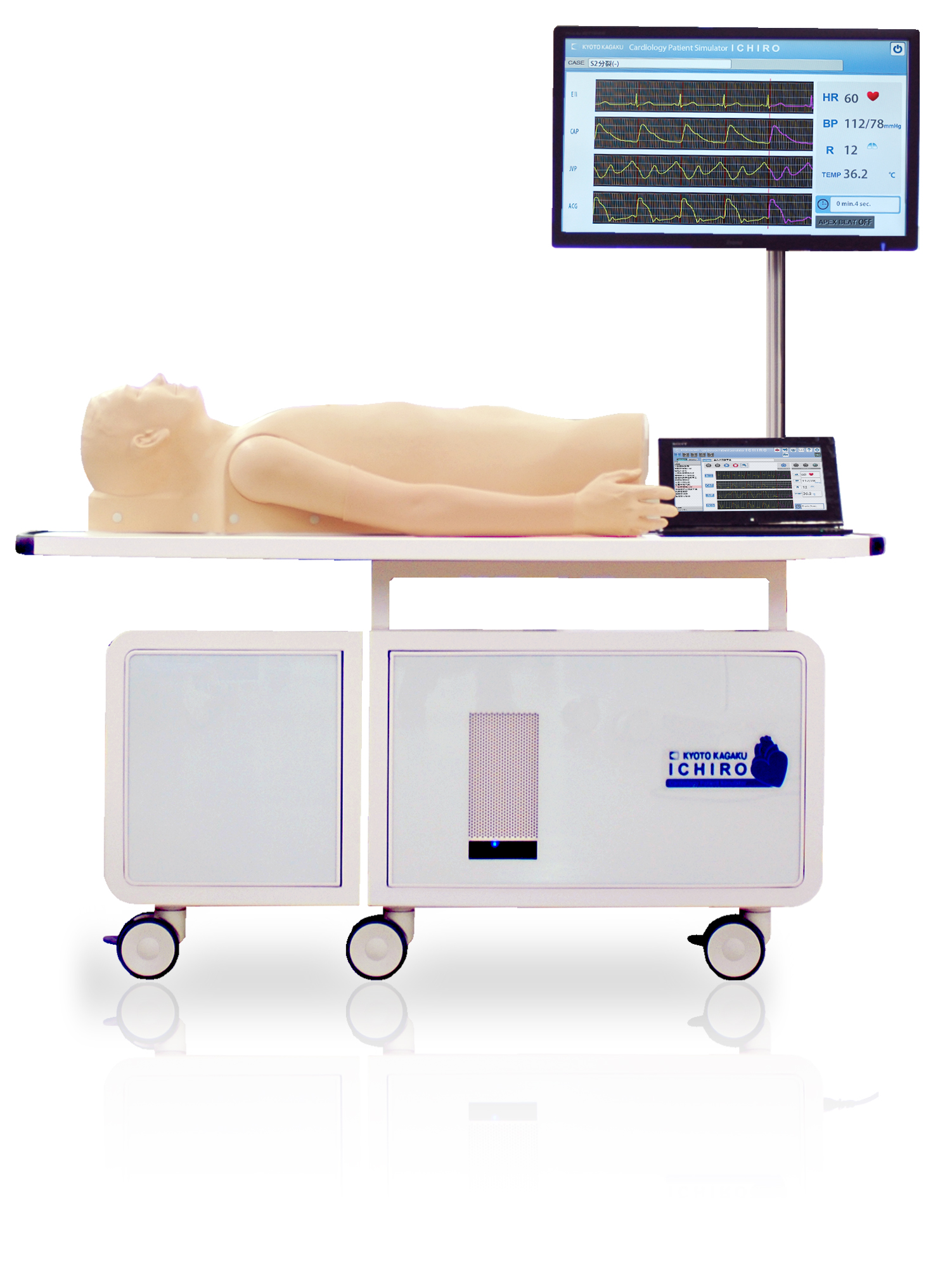 Cardiology Patient Simulator 