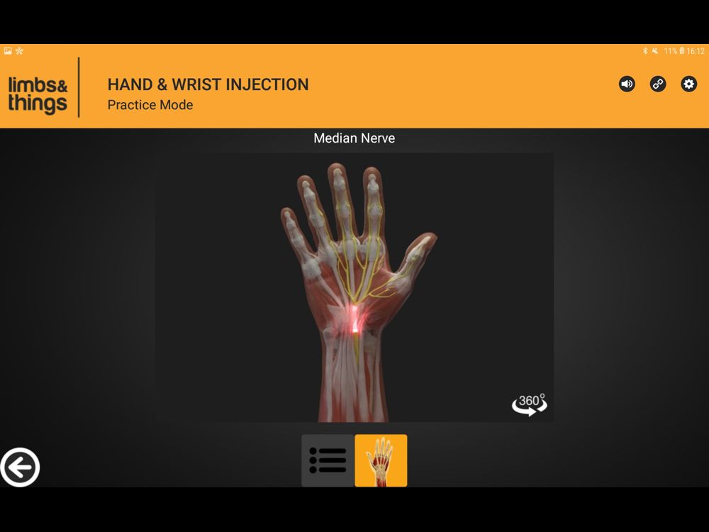 Hand & Wrist Injection Trainer with tablet in light skin tone | Limbs ...
