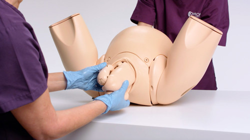 Experts at the PROMPT Foundation have been integral to the development of PROMPT Flex