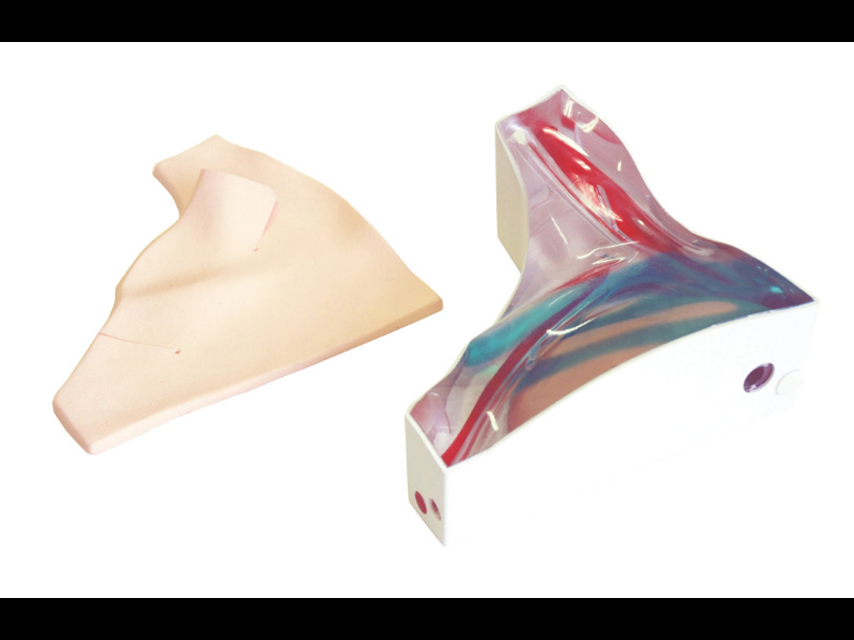 CVC Insertion Simulator II | Vascular | Kyoto Kagaku | Limbs