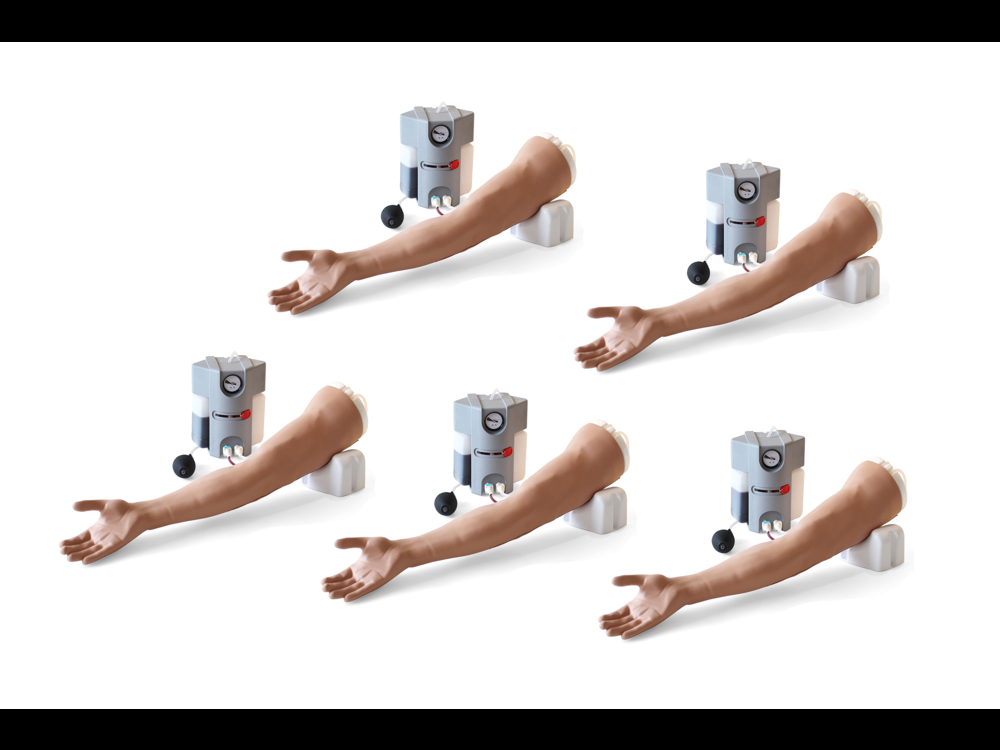 Dynamic Venogram Arm Advanced Venipuncture Arm Value Pack (Light Skin Tone) | Limbs & Things UK