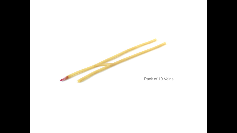 Acf Arm ACF Vein Module for Venipuncture Arms | Limbs & Things Global