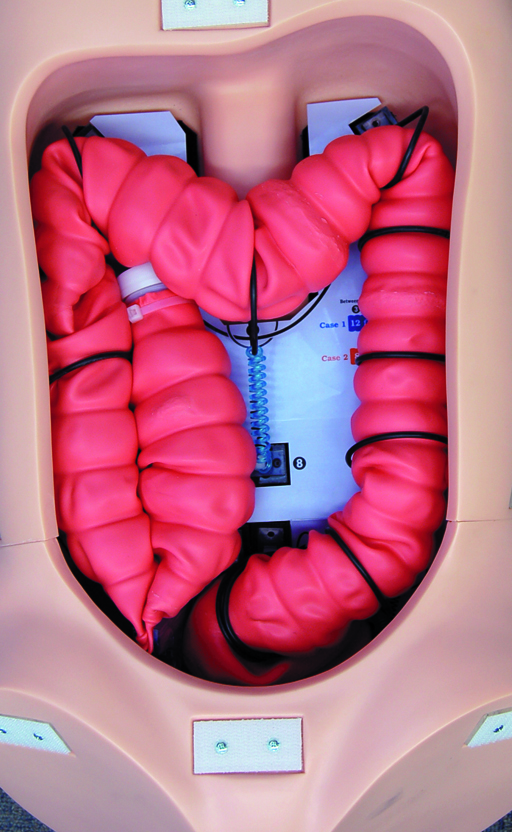 Colonoscopy Training Simulator (Light Skin Tone) | Limbs & Things US
