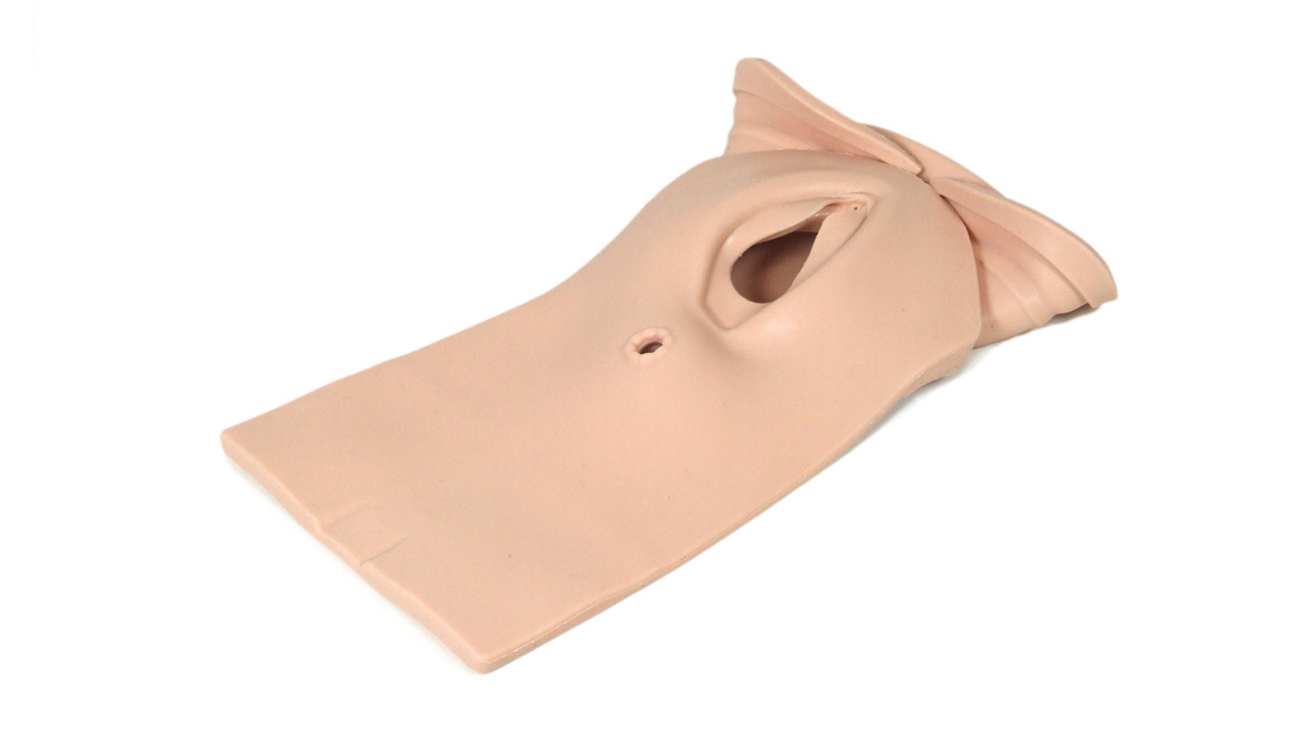 Perium Body Perineum & Birth Canal PROMPT Flex - Standard/Advanced (Light Skin Tone ...