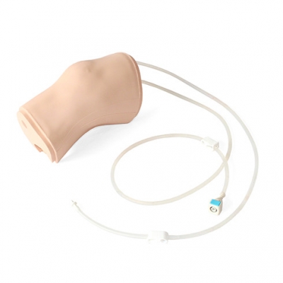 Knee Aspiration & Injection Trainer with Ultrasound