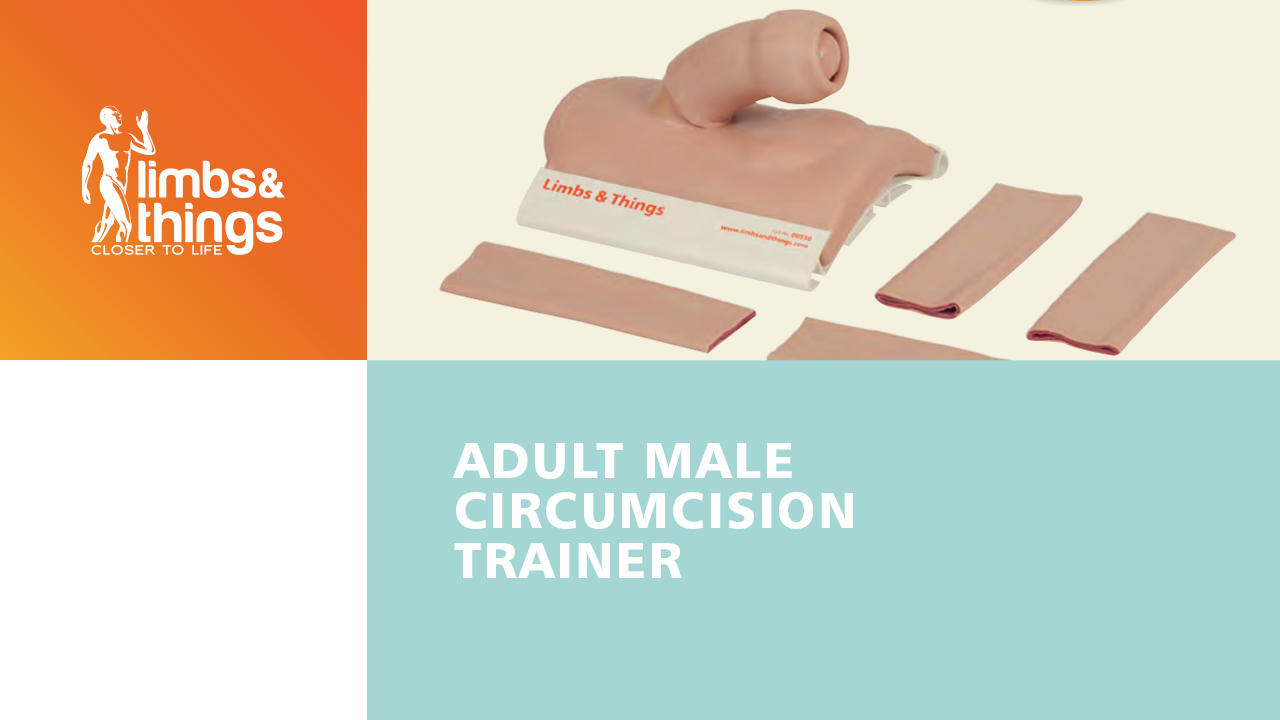 Adult Male Circumcision Trainer