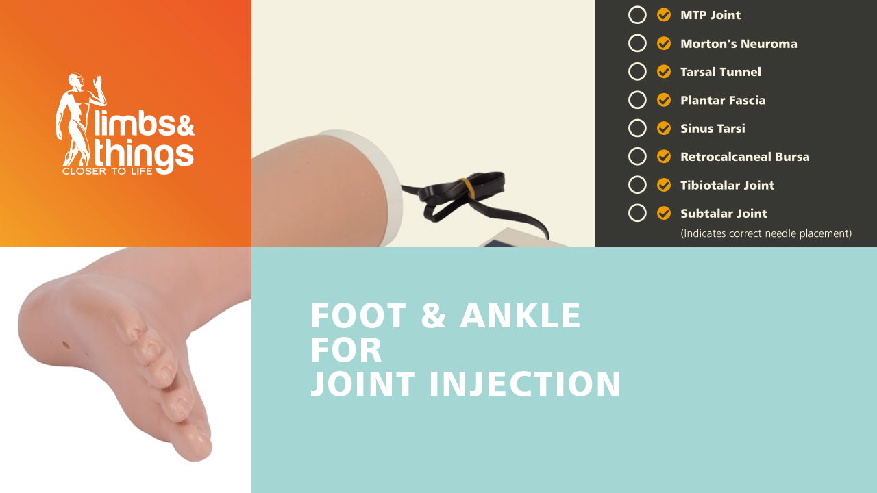 Foot Ankle Joint Injection Trainer